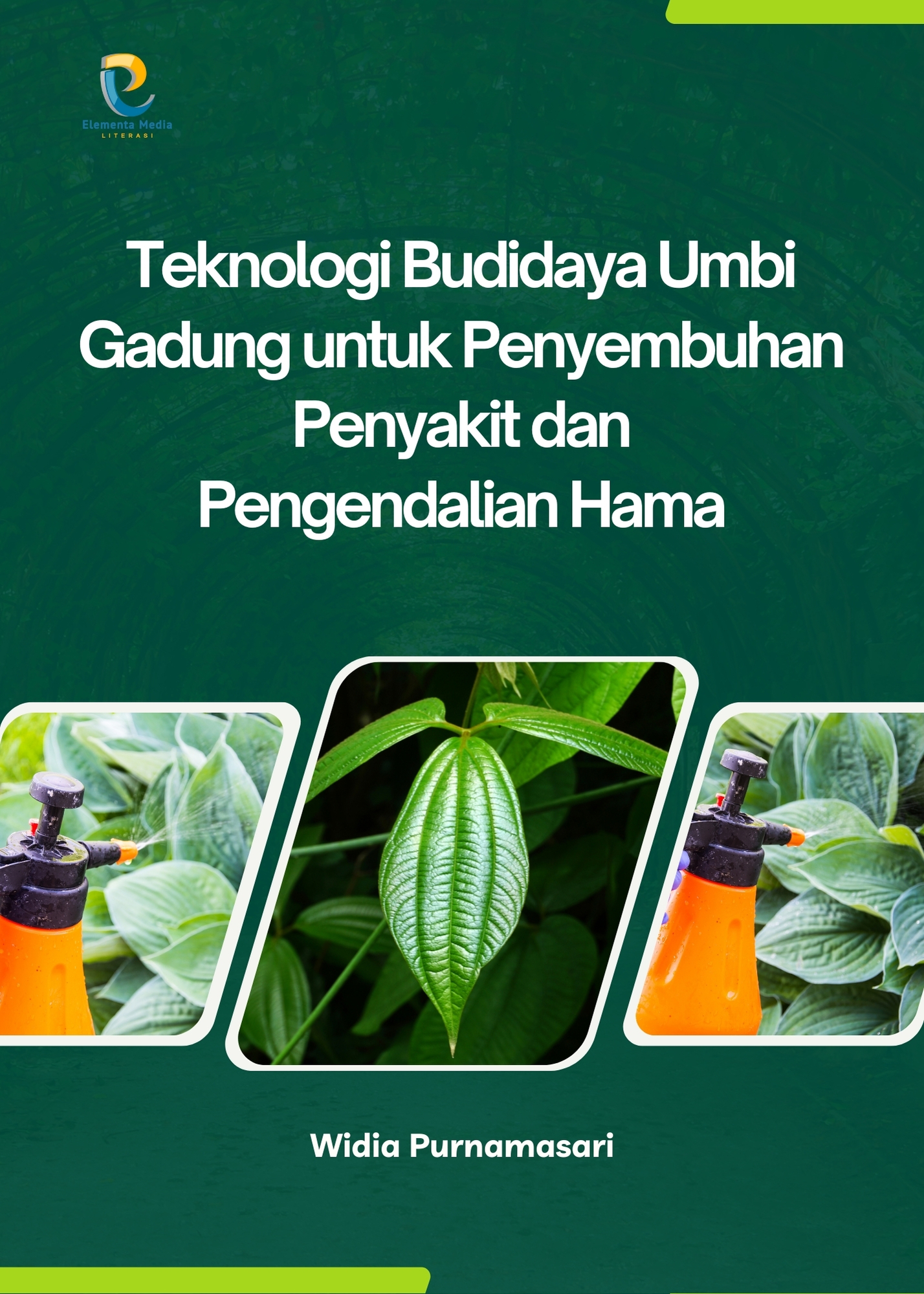 Teknologi Budidaya Umbi Gadung untuk Penyembuhan Penyakit dan Pengendalian Hama